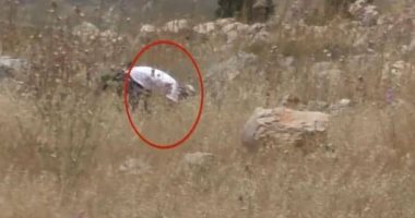 مستوطنون يحرثون أراضى المواطنين الفلسطينيين فى الأغوار الشمالية