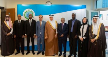 الموافقة على تفعيل إعلان البحر الأحمر منطقة خاصة لدى المنظمة البحرية الدولية