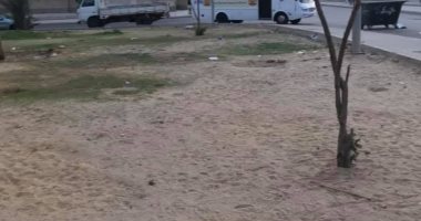 قارئ يشكو من عدم رى حدائق الشيخ زايد وتعرضها للتجريف