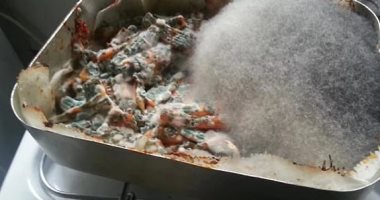 صور تجعلك تفكر جديا قبل اتخاذ قرار العيش مع زملائك أو أصدقائك