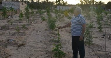 محافظ الوادى الجديد يتفقد المزارع ويوجه بتطوير استراتيجية الزراعة بالمحافظة