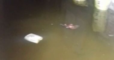غرق شارع توفيق فهمى بالطالبية يهدد بكارثة صحية..والأهالى يستغيثون