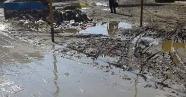 أهالى ليسا الجمالية بمحافظة الدقهلية يطالبون بشبكة صرف صحى