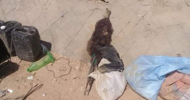 صور.. ضبط أدوات صيد مخالفة ببحيرة البردويل على ساحل شمال سيناء