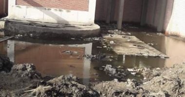 "عرض مستمر" .. معاناة أهالى قرية ليسا مع القمامة والصرف الصحى 