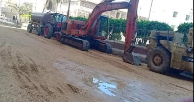 صور.. رصف طرق فوه بـ3 ملايين جنيه والقضاء على البعوض ببلطيم استعدادا للعيد