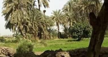 إلقاء مخلفات تطهير ترعة بقرية جزيرة الطوابية فى قنا يغلق الطريق أمام الأهالى