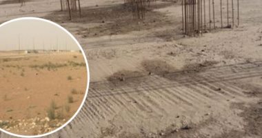 ننشر أسماء 162 منتفعا بأراضى مشروع مبادرة زراعة أشجار النخيل بمركز باريس