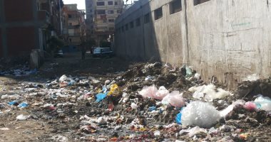 القمامة تحتاج الى صندوق أسفل كوبرى أبيس بالإسكندرية..والأهالى يستغيثون