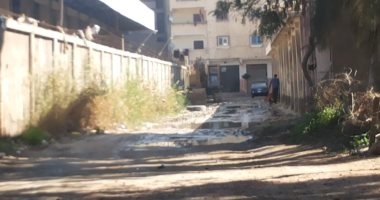 تراكم القمامة وفقر الخدمات.. شكوى لأهالى منطقة الموظفين بالإسكندرية