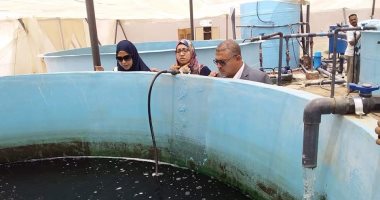 صور .. تعرف على تفاصيل مراحل الإنتاج بمشروع الإستزراع السمكى بالوادى الجديد