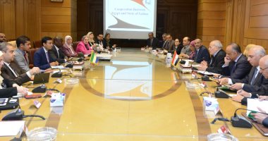 تعاون مصرى جابونى فى مجالات التصنيع المختلفة
