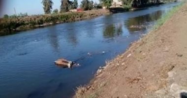 قرية كراديس بالشرقية بلا شبكة صرف صحى.. والأهالى يستغيثون بالمسئولين