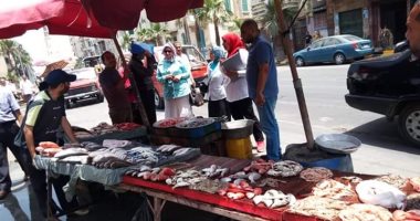 صور..محافظة الإسكندرية تشن حملات موسعه على الأسواق والمخابز والمطاعم 