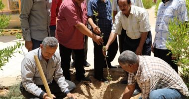 صور .. تدشين مبادرة لغرس 3000 شجرة مثمرة بالمدارس فى الوادى الجديد