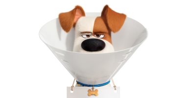 The Secret Life of Pets 2 يشارك فى مهرجان سيدنى يونيو المقبل