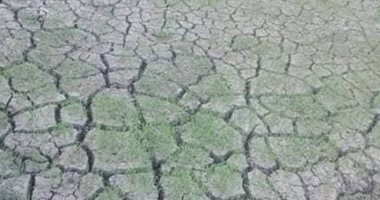 جفاف ترعة  بالشرقية يهدد بتجريف الأراضى الزراعية بقرية القصاصين