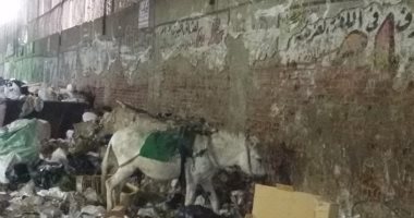 انتشار القمامة خلف مبنى حى بولاق الدكرور والأهالى يطالبون برفعها