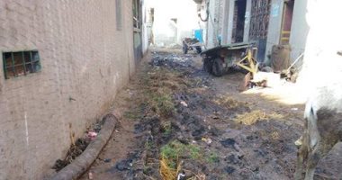 مطالب برصف شوارع عزبة الدسوقى فى كفر الشيخ تسهيلا على المواطنين 