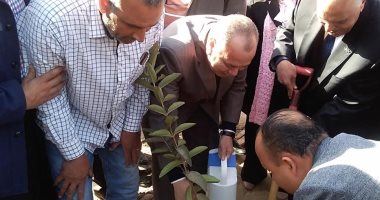 زراعة 4 آلاف شجرة مثمرة بكفر الشيخ تنفيذاً لمبادرة الرئيس