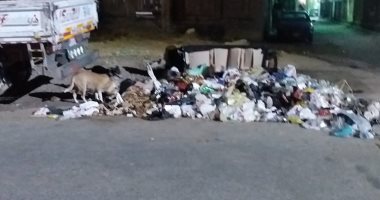 أهالى بن الرشيد بروض الفرج يشكون تراكم القمامة التى تعمل على جذب الحشرات