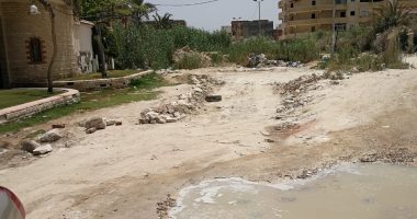 قارئ يشكو من سوء حالة الطريق بشارع أبو تلات الرئيسى