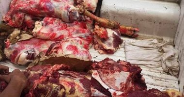 صور.. إعدام 628 كيلو لحوم وأسماك غير صالحة بسوهاج