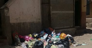 معاناة أهالى قرية منشأة السلام بالدقهلية مع القمامة 