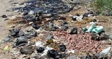 القمامة تغلق مدخل قرية ليسا الجمالية بالدقهلية