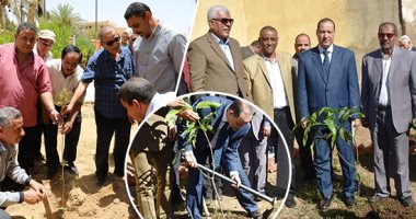 "مصر المثمرة".. حكاية مبادرة أطلقها الرئيس لزيادة أشجار الثمار.. تنفيذ المبادرة بشوارع ومدارس المحافظات.. نقيب الزراعيين يطلق المشروع من أسوان ويؤكد: ربطها مع بقية المساحات المنزرعة كحزام أخضر