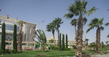 شاهد ..طريق "ميدان عبد المنعم رياض - الاحياء" بعد زراعته بالنباتات الصيفية بالغردقة 