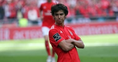 اجتماع حاسم لإدارة مانشستر سيتى لإنهاء صفقة فيليكس موهبة بنفيكا