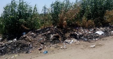 اضبط مخالفة.. انتشار القمامة بالطرق الرئيسية فى الغربية "صور"