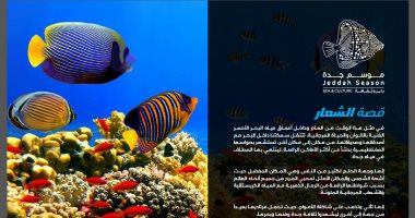 صور.. هيئة الترفيه تواصل نجاحاتها فى السعودية بـ80 فعالية جديدة.. بطولات رياضية عالمية ومسرحيات أمريكية للأطفال.. هنيدي والفخراني يشاركان بأعمال جديدة.. مشاهدة أطول نافورة فى العالم.. وعروض سبونج بوب للأطفال