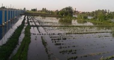 صور.. مياه نهر النيل تغمر محطة صرف صحى بالقناطر