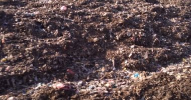 شكوى من تراكم القمامة بقرية منية سندوب فى المنصورة