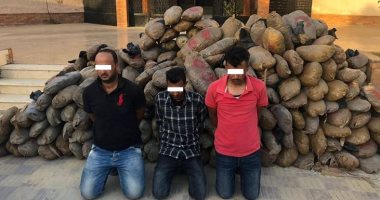 ضبط 3 متهمين بحوزتهم طن و350 كيلو من مخدر البانجو قبل ترويجها فى الإسماعلية