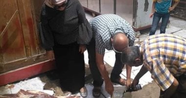 ضبط 160 كيلو لحوم وكبدة فاسدة داخل منفذ لبيع اللحوم بالمنصورة 