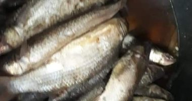 تعرف على أسعار الأسماك بسوق العبور اليوم الاثنين