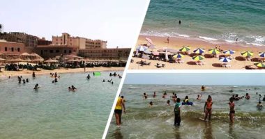 وانت على البحر.. أطعمة تمدك بالطاقة عليك تناولها  