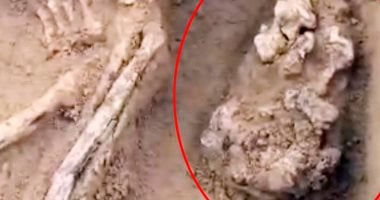 منذ 3000 عام.. المنغوليون استخدموا عظام الحيوانات للعب السيجا