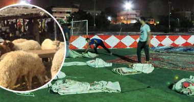"صكوك الأضاحى متاحة بساحات عيد الفطر".. الأوقاف: خدمة التوصيل للمنازل.. 1800 جنيه قيمة الصك لكفالة مليون أسرة أولى بالرعاية.. ومصروفات توصيلها من خزينة الوزارة.. وتكريم المديرية المتفوقة بمبلغ 50 ألف جنيه