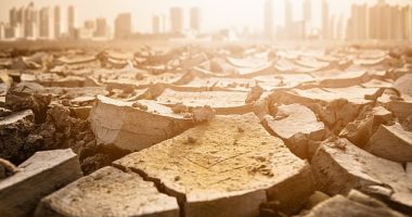 الحيوانات وتغير المناخ.. ارتفاع درجات الحرارة يؤثر على مصادر الغذاء والمياه ويدفعها للهجرة.. الأفيال وحوت شمال الأطلسى أبرز الأنواع المهددة بالانقراض.. وحرائق الغابات بأستراليا شردت 3 مليارات من الكوالا والكنغر