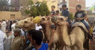 صور..  أطفال الوادى الجديد يحتفلون بعيد الفطر بركوب الجمال والخيل