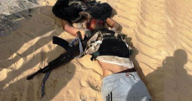 تقرير: مصر حققت إنجازات فى التطور الديمقراطى ومكافحة الإرهاب أكبر من المتوقع