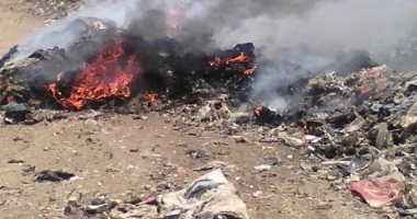 قارئ يشكو من انتشار القمامة والأوبئة فى قرية شونى مركز طنطا