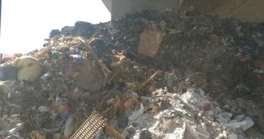 صور.. اضبط مخالفة.. تحويل الطريق أسفل أحد الكبارى بالسنطة لمقلب قمامة