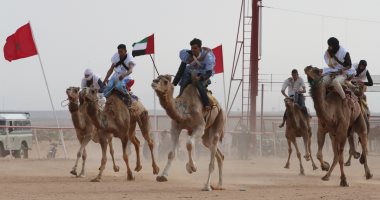 للعام الـ6.. الإمارات تستعد للمشاركة فى "موسم طانطان" بالمغرب.. صور