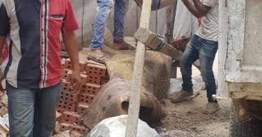 حملة فورية لإيقاف أعمال بناء مخالف شرق الإسكندرية 