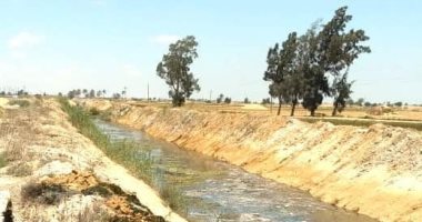 تطهير المصارف الزراعية غرب الدلتا لمنع حدوث أزمات خلال الصيف.. صور